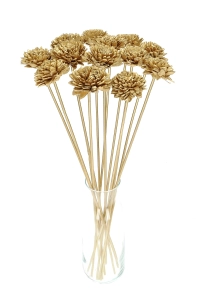 Shola flower - gold zinnia - stem