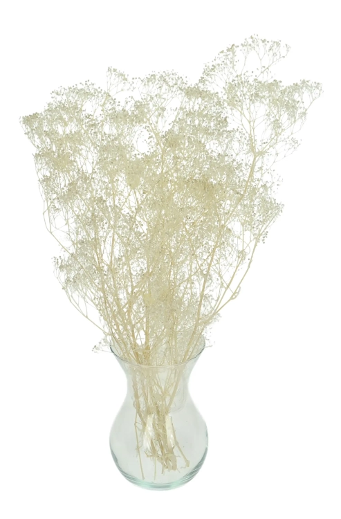 Preserved white Gypsophila mini - bunch - dried flowers