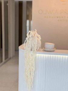 Stabilizowany szarłat zwisły bielony, amaranthus - bukiet
