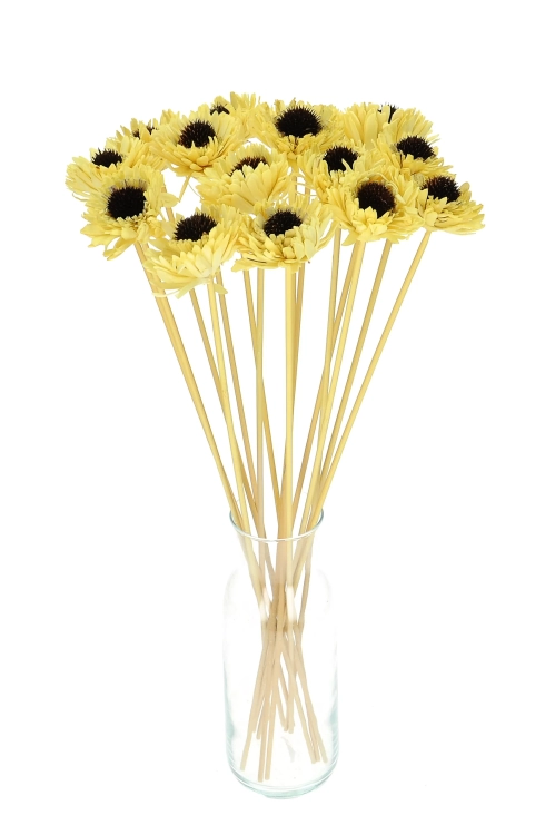 Shola flower - yellow margaret - stem