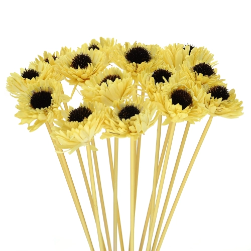 Shola flower - yellow margaret - stem