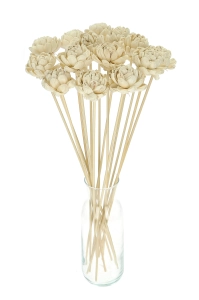 Shola flower - white english rose - stem