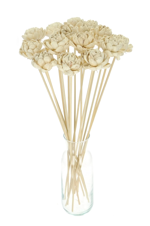 Shola flower - white english rose - stem