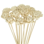 Shola flower - white english rose - stem
