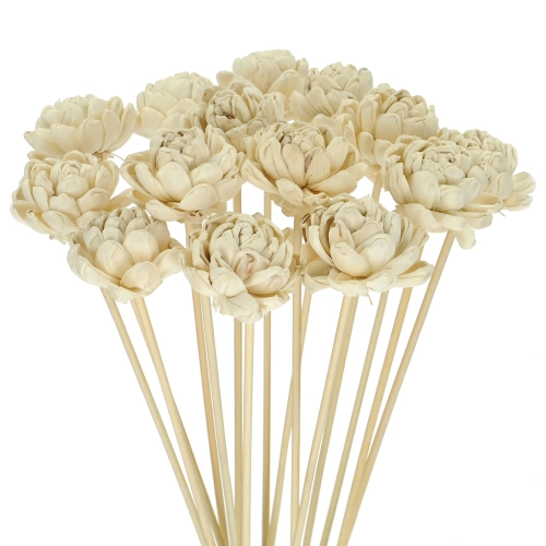 Shola flower - white english rose - stem