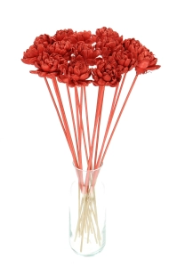 Shola flower - red english rose - stem