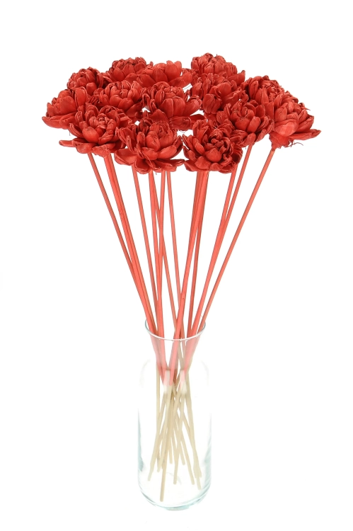 Shola flower - red english rose - stem