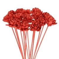 Shola flower - red english rose - stem