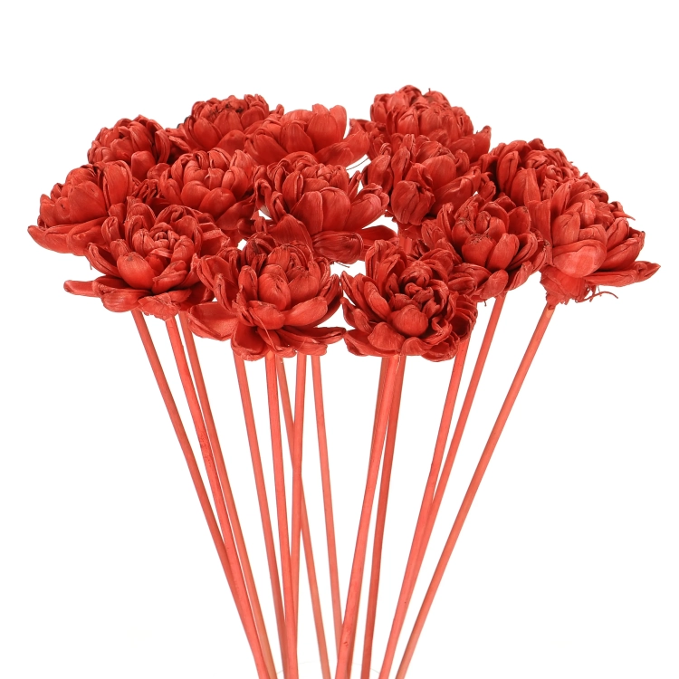 Shola flower - red english rose - stem