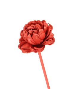 Shola flower - red english rose - stem