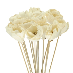 Shola flower - white magnolia - stem