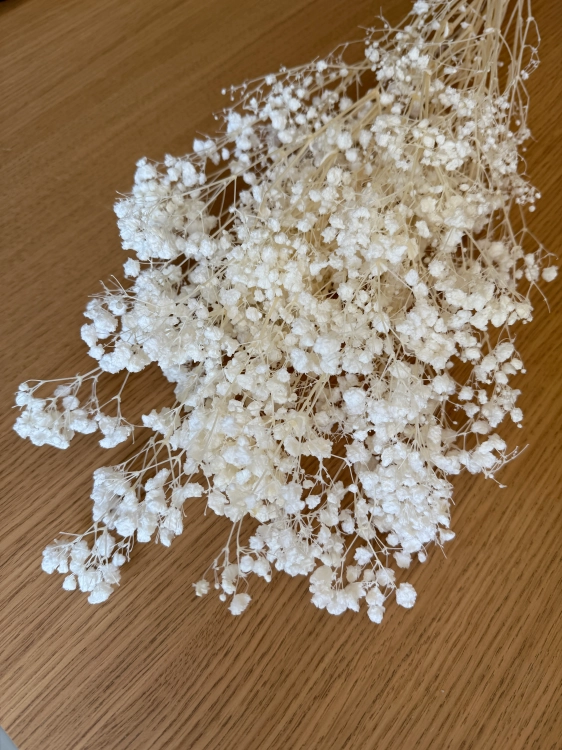 Preserved white gypsophila - bouquet - dried flowers