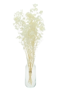 Preserved white gypsophila - bouquet - dried flowers