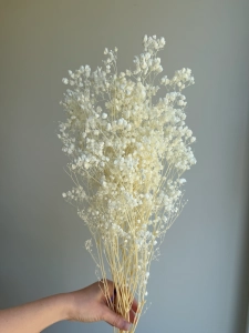 Preserved white gypsophila - bouquet - dried flowers