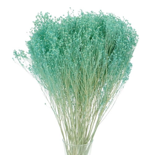 Dried flowers - turquoise Broom Bloom - bunch