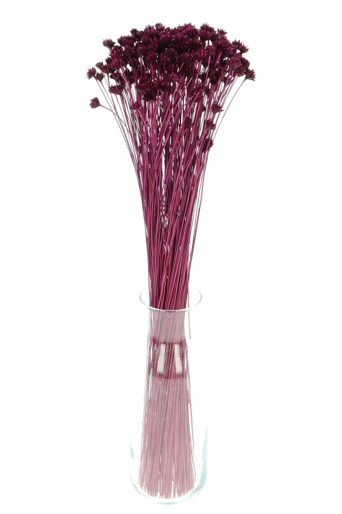 Dried purple Hill Flower - bouquet ~150 pcs. - dried flowers