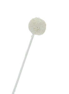 Dried white craspedia - bouquet of 5 pcs - dried flowers