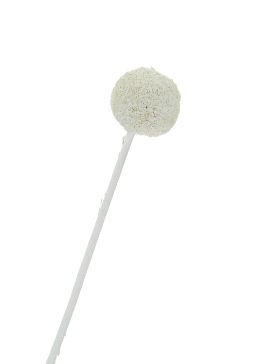 Dried white craspedia - bouquet of 5 pcs - dried flowers