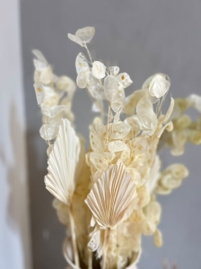 Dried bleached lunaria - annual honesty - bouquet