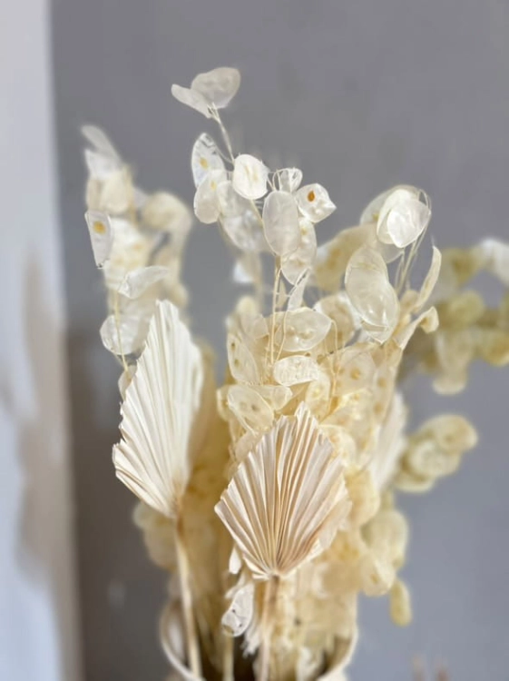 Dried bleached lunaria - annual honesty - bouquet