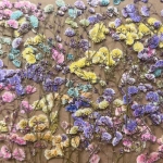 Dried pressed flowers - set with gypsophila ~60 pcs.
