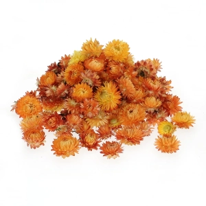 Dried orange Helichrysum - heads, flowers 50 g, ~70 pcs