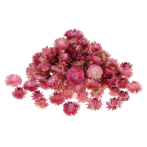 Dried pink Helichrysum - heads, flowers 50 g, ~70 pcs