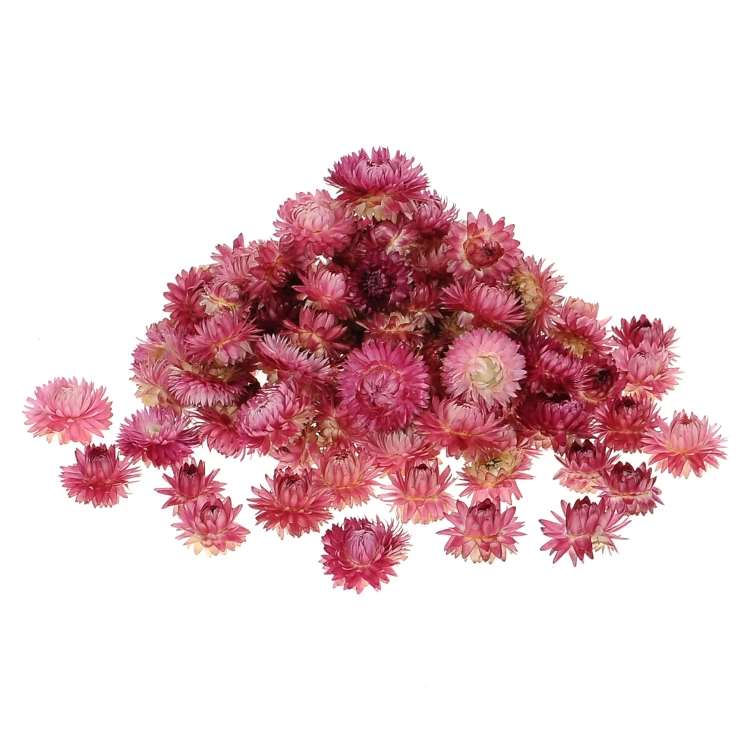 Dried pink Helichrysum - heads, flowers 50 g, ~70 pcs