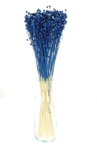 Dried navy blue Linum (Flax) - bunch - dried flowers