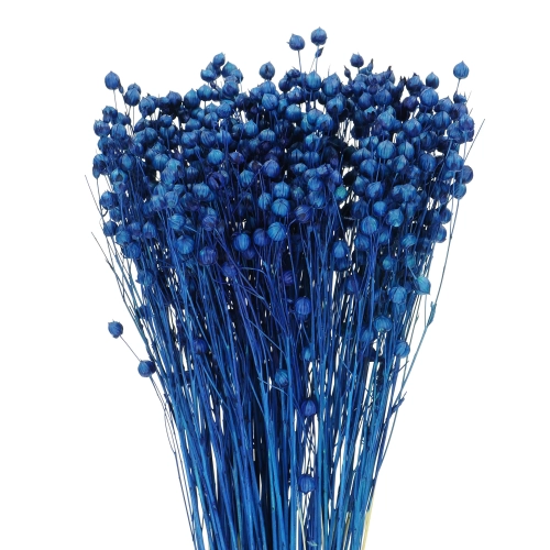 Dried navy blue Linum (Flax) - bunch - dried flowers