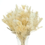 Dried flowers bouquet - cream