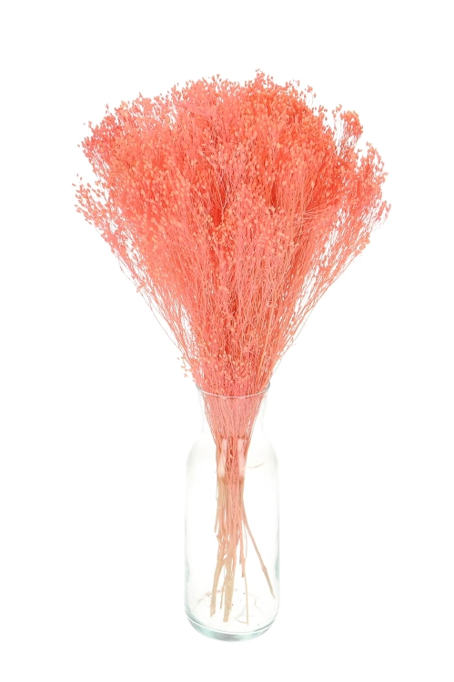 Suszone kwiaty - żarnowiec, broom bloom różowy - bukiet