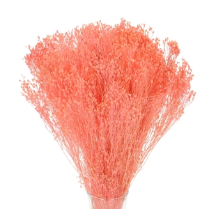 Suszone kwiaty - żarnowiec, broom bloom różowy - bukiet