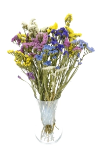 Dried Limonium, mix of colours - bunch - dried flowers