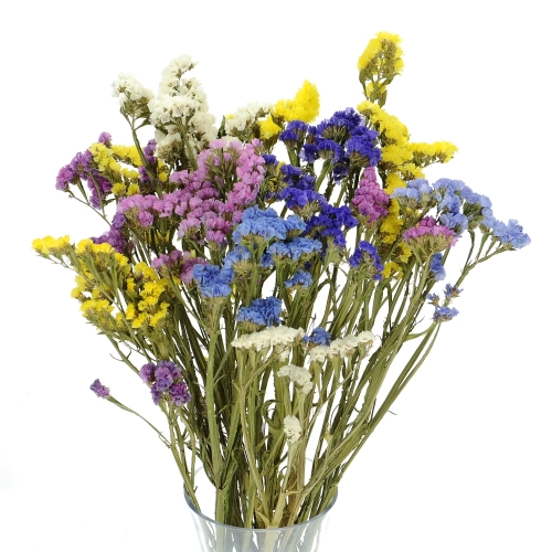 Suszony zatrwian, limonium mix kolorów - bukiet - suszone kwiaty