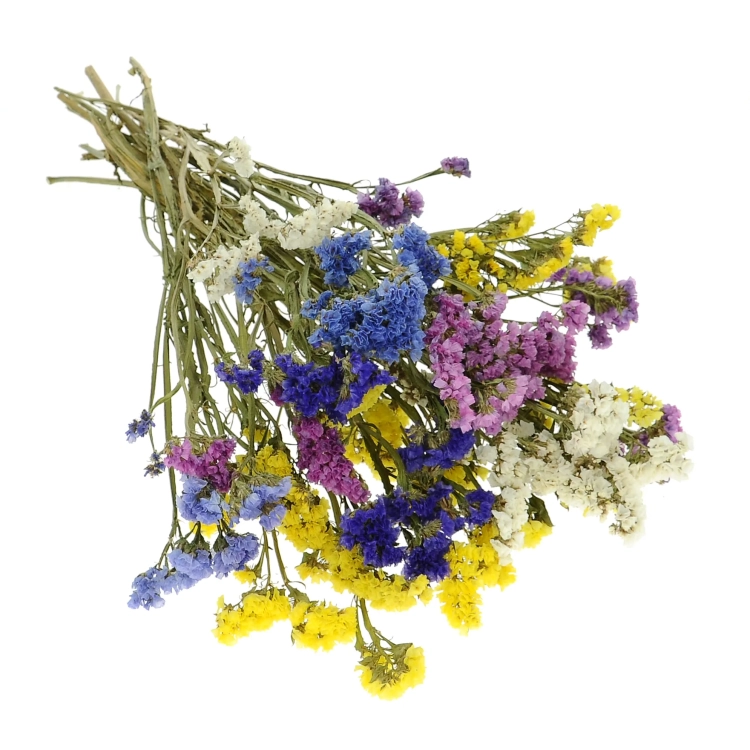 Dried Limonium, mix of colours - bunch - dried flowers