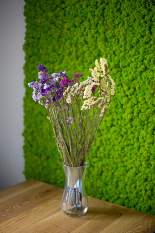 Dried Limonium, mix of colours - bunch - dried flowers