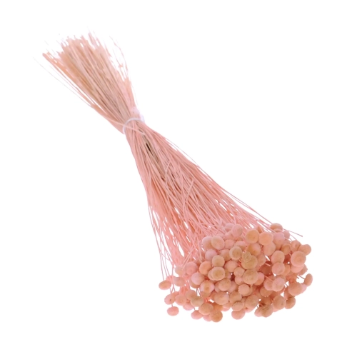 Suszone botao różowe OUTLET