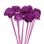 Shola flower - purple rose - stem