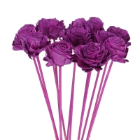 Shola flower - purple rose - stem