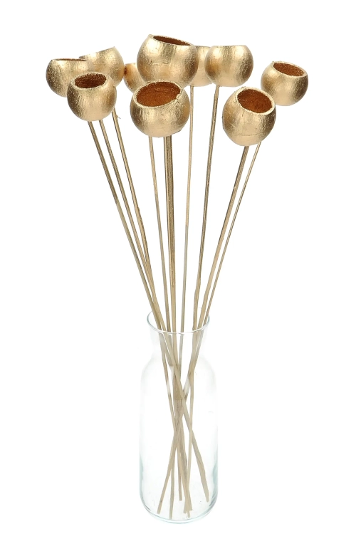 Dried golden Palm Cup