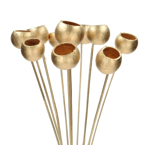 Dried golden Palm Cup