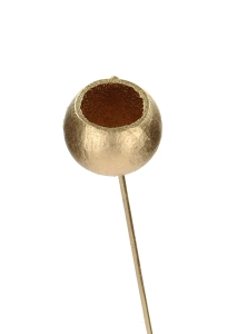 Dried golden Palm Cup