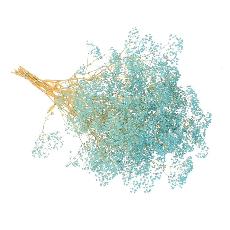 Preserved blue Gypsophila - bunch- dried flowers