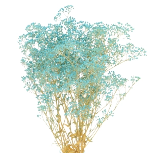 Preserved blue Gypsophila - bunch- dried flowers