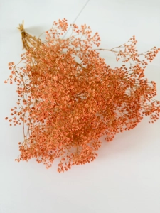 Preserved salmon Gypsophila - bunch- dried flowers