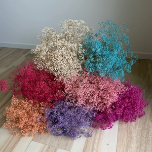 Preserved dark pink Gypsophila - bunch - dried flowers