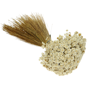suszona-gliksja-naturalna-duza (4).png