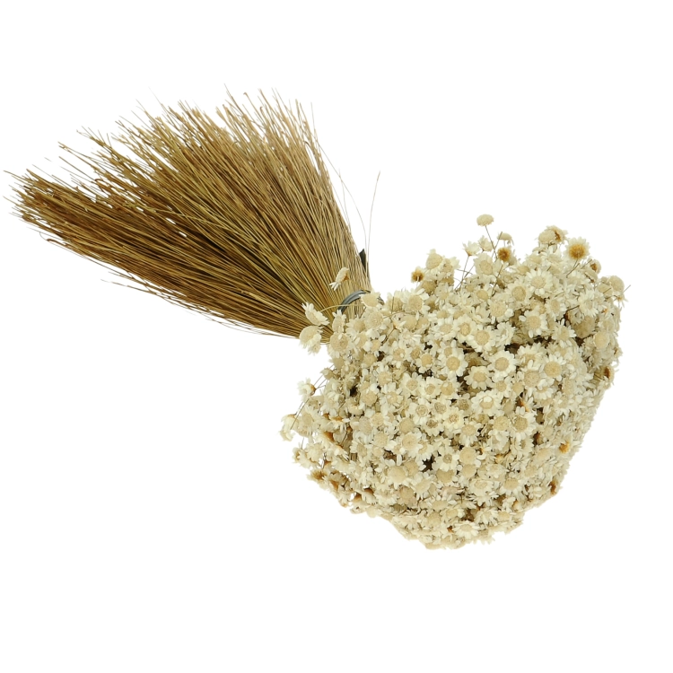 Dried natural Glixia - large bunch 200 g - dried flowers