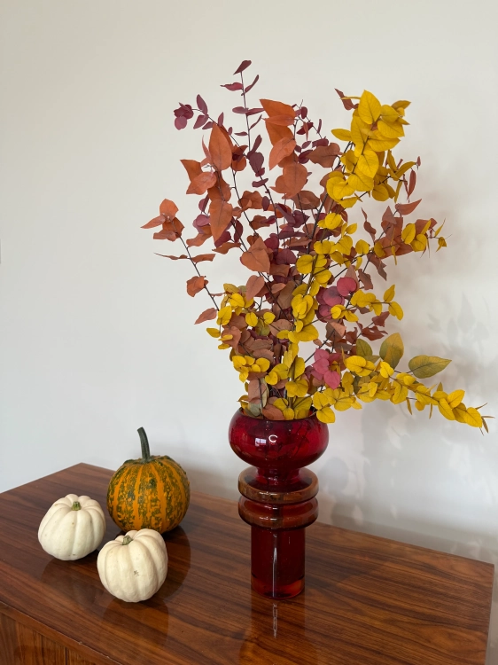 Preserved Eucalyptus Stuartiana mixed colors - bunch